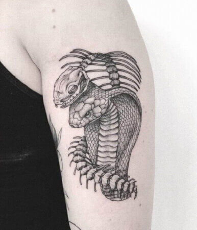 60+ Amazing Snake Tattoo Designs and Ideas for Men and Women