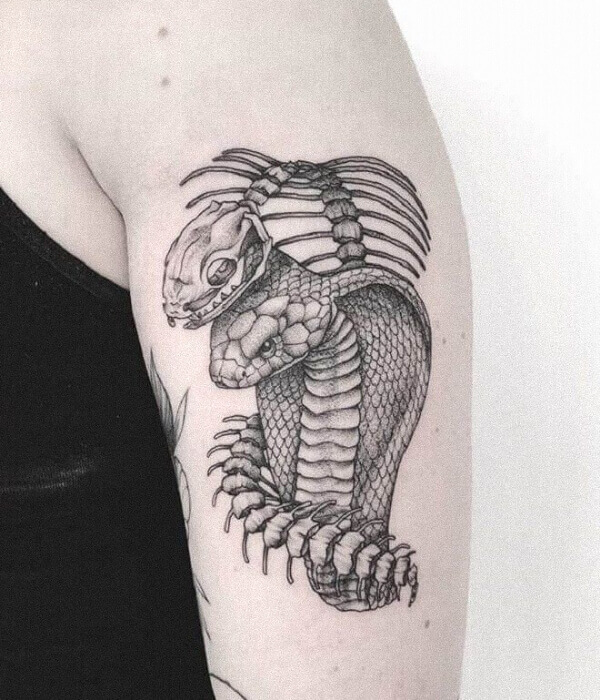 Black Skeleton Snake Tattoo on Arm