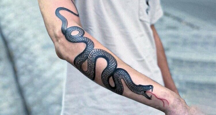Snake arm tattoo by Kuro Pattern  Kihwan Kim  TattooNOW