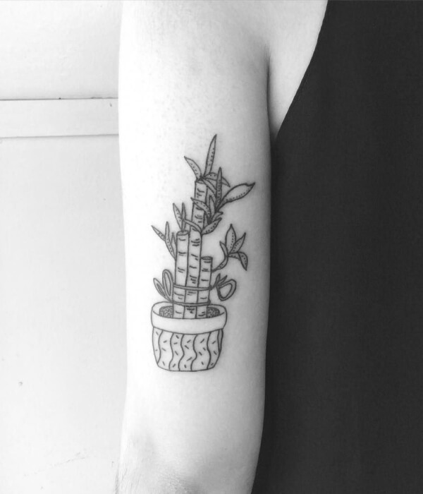 Bamboo lucky tattoo