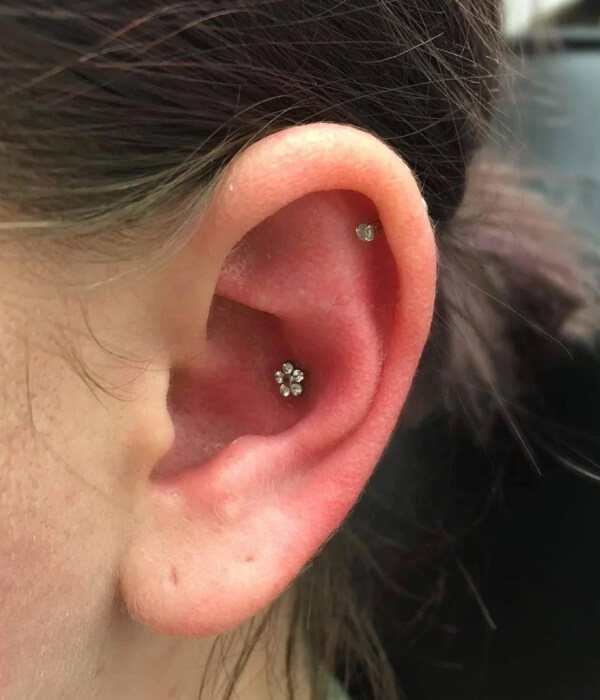 Conch Piercing