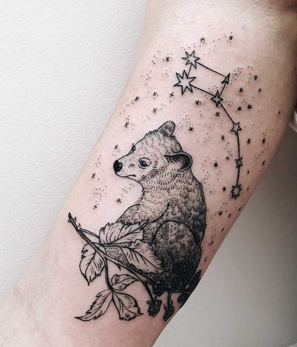 Bear with acorn plant tattoo