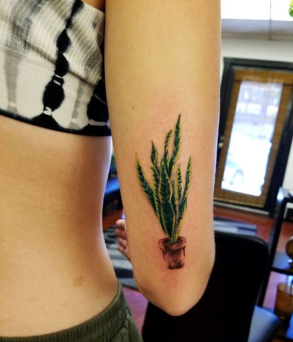 Tattoo uploaded by Bahadır Cem Börekcioğlu  Little tiny psycho cute plant   london tattoo plant small minimal  Tattoodo