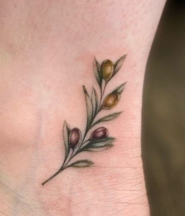 Olive plant tattoo