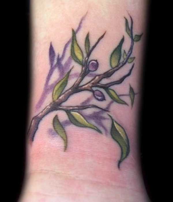 Olive plant tattoo