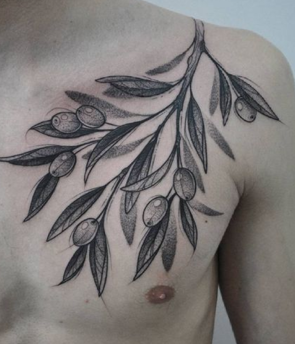 Olive plant tattoo
