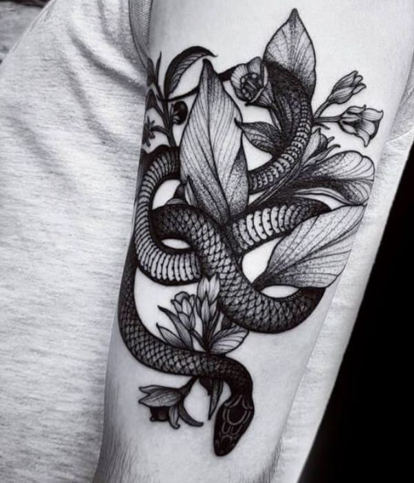 Plant with a snake tattoo