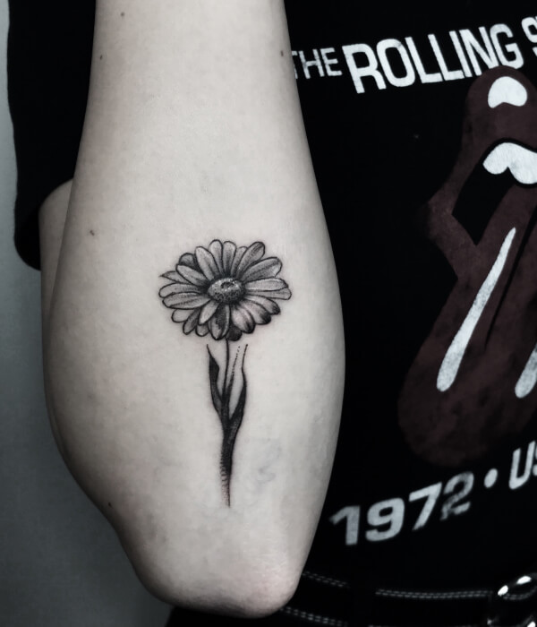 Black and white daisy tattoo ideas