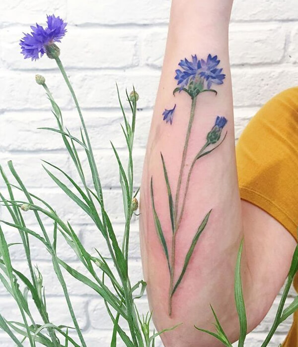 Blue daisy tattoo - Trending Tattoo Blue daisy tattoo