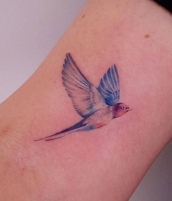 Colorful sparrow tattoo
