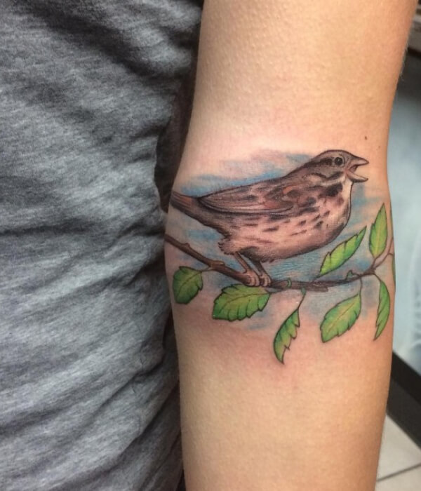 Melodious sparrow tattoo