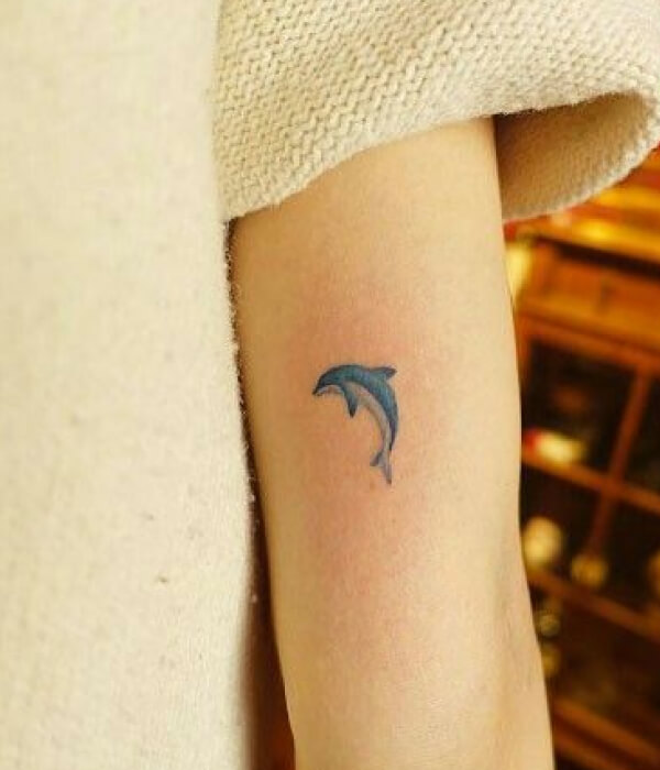 Mini dolphin tattoo designs for women