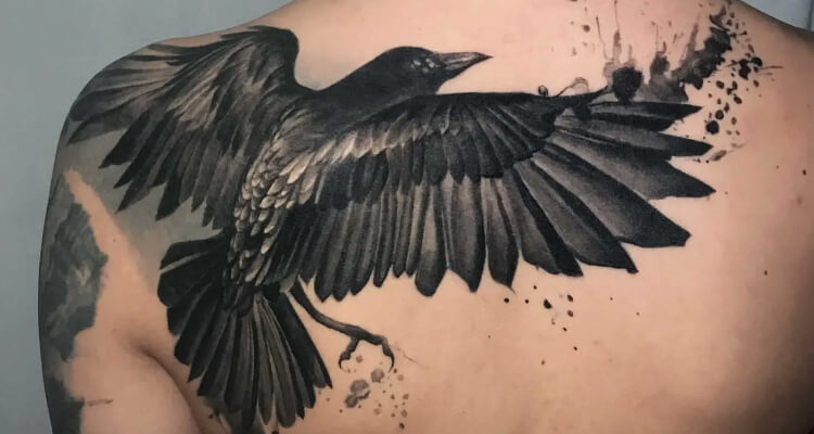 تويتر  Monumental Ink على تويتر New Traditional crow piece done by Sam  MonumentalInk httpstcoz1ziK4SNtx Tattoo Artist TattooArtist  Design Love Body NewTraditional CrowTattoo BirdTattoo ChestTattoo  WednesdayWisdom 