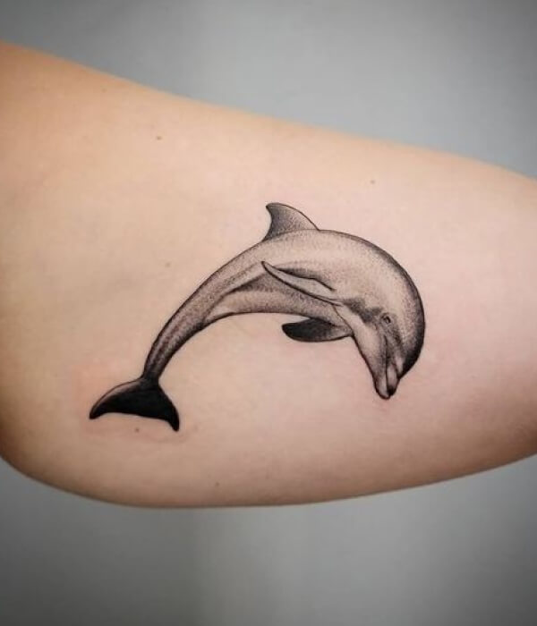 Realistic dolphin tattoo