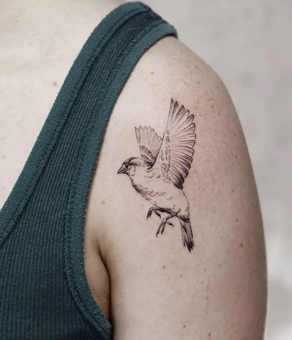 Shaded Sparrow tattoo