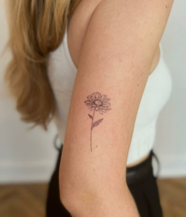 Simple daisy tattoo designs