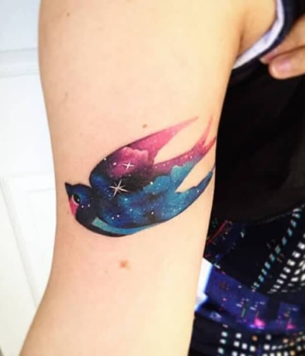 Sparrow tattoo with stars