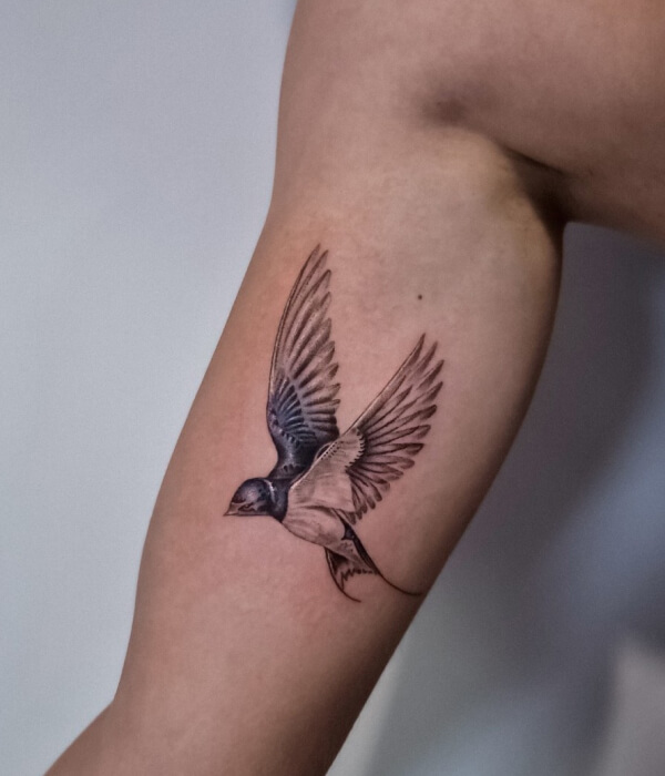 Swallow bird tattoo with fluttering wings
