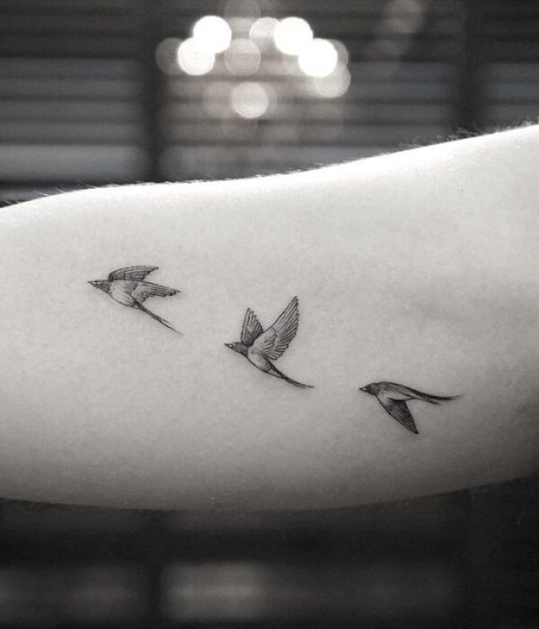 Tiny swallow tattoo design