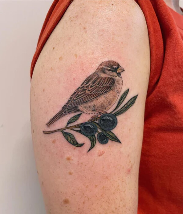 Traditional sparrow tattoo