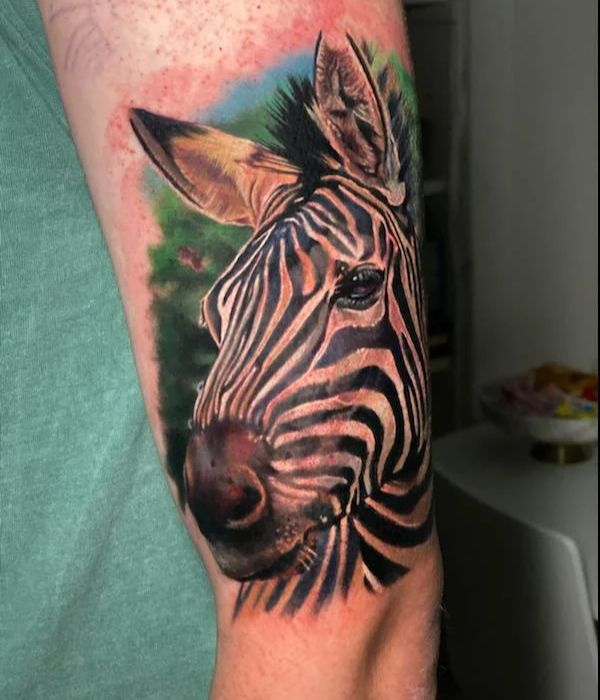 African Zebra Tattoo