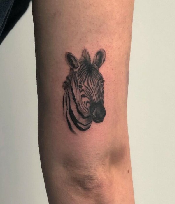 Cool Zebra Tattoo