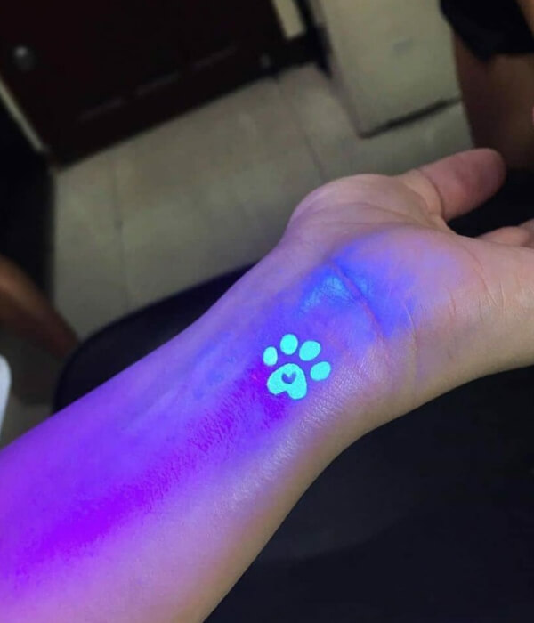 UV Tattoo Cat with her leg