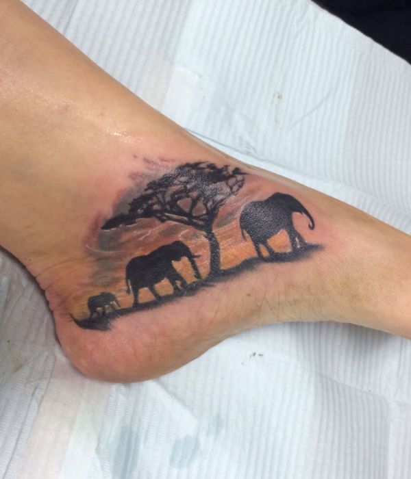 elephant foot tato