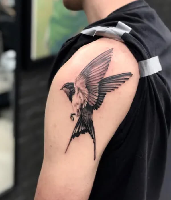 Black and White Swift Tattoo