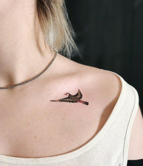 Collarbone Swift Tattoo