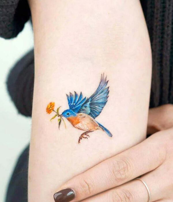 Colorful Swift Tattoo Ideas