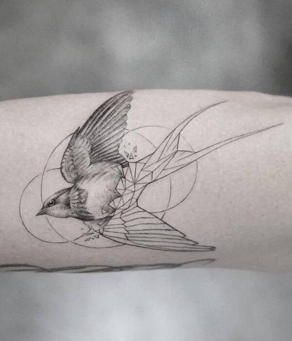 Geometric Swift Tattoo Designs