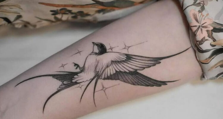 Graceful Swift Bird Tattoo Designs