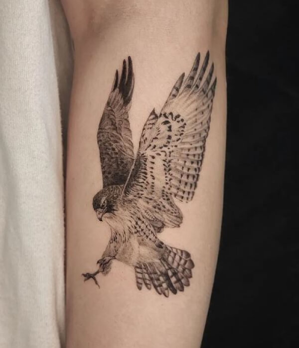 Realistic Swift Tattoo Ideas