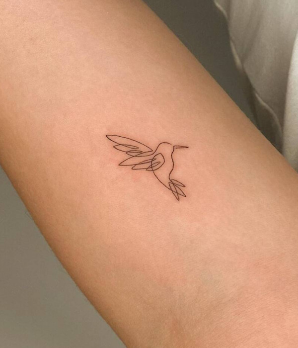 Single Line Swift Tattoo Ideas