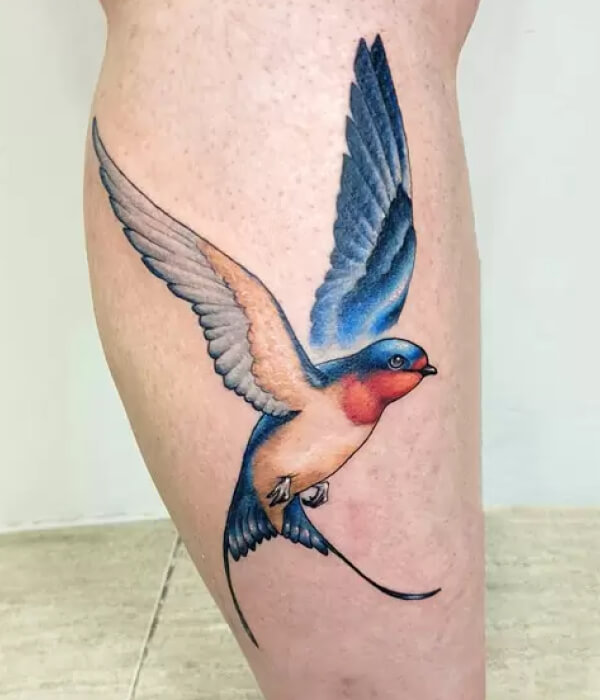 Traditional Swift Tattoo