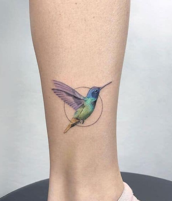 Watercolor Swift Tattoo Designs