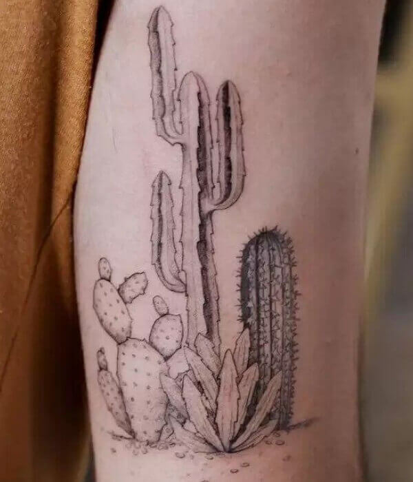 Multiple Cactus Tattoo