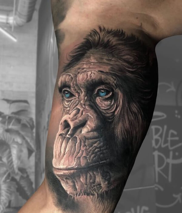 Realistic Monkey Tattoo