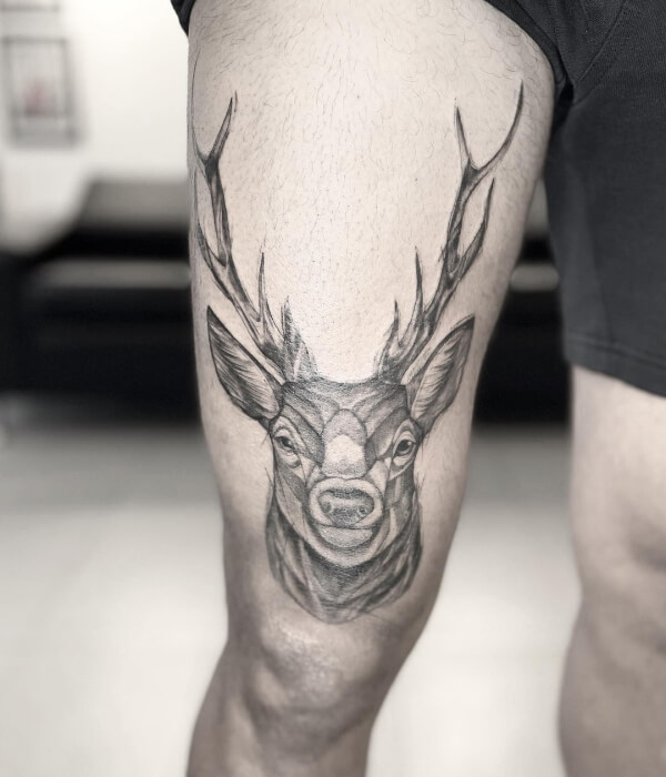 Animal Tattoos