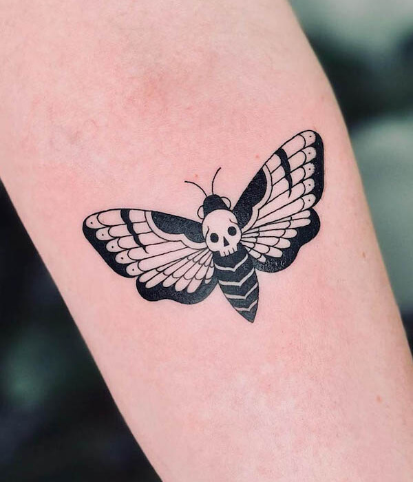 Bold blackwork Moth Tattoo