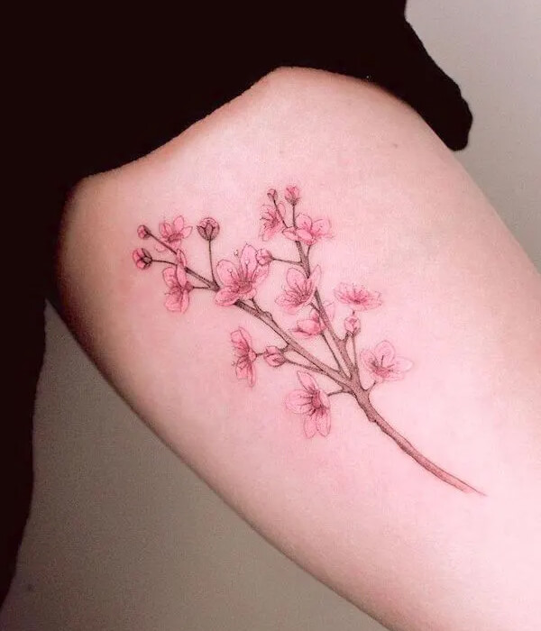 Cherry Blossom Cascade Tattoo