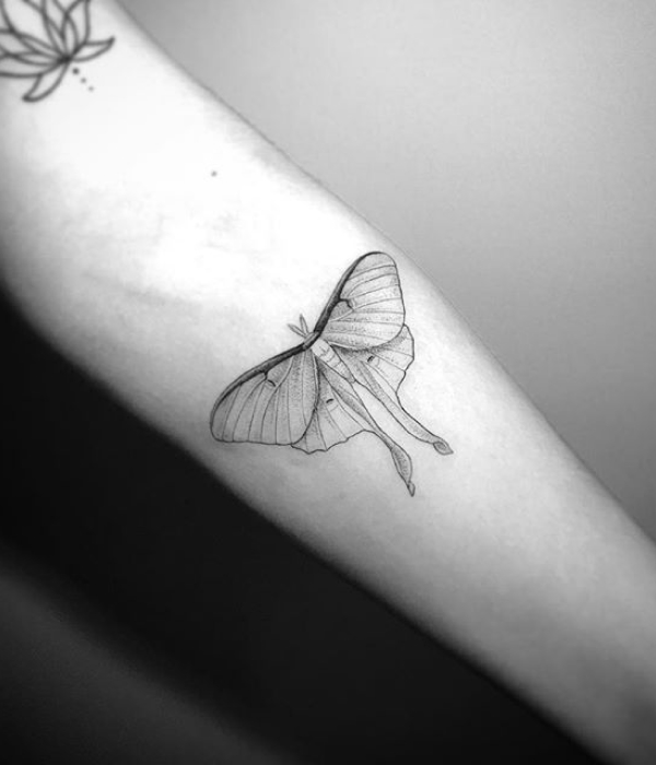 Fine Line Luna Moth Tattoo