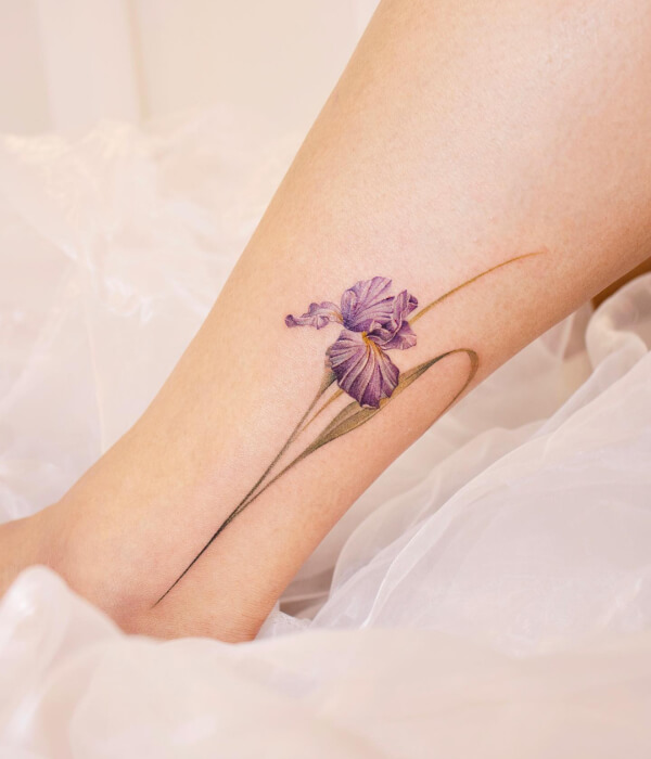 Iris Elegance Tattoo