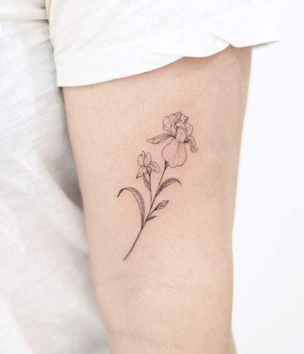 20 Amazing February Birth Flower Iris Tattoo Ideas