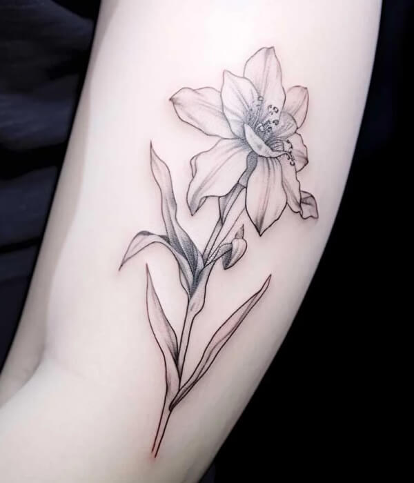 Mythical Narcissus Tattoo