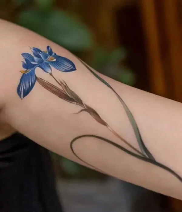 Simple Iris Tattoo