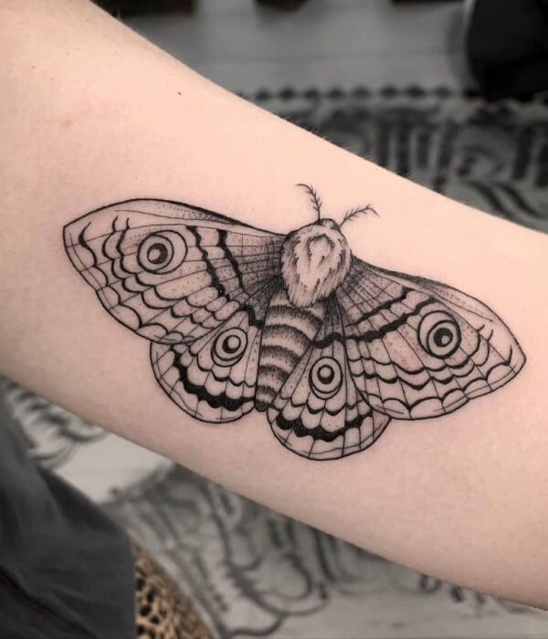 Traditional Moth Tattoo