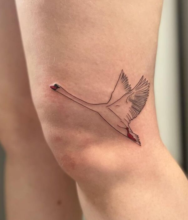 Black Swan Tattoo in Flight on the Leg