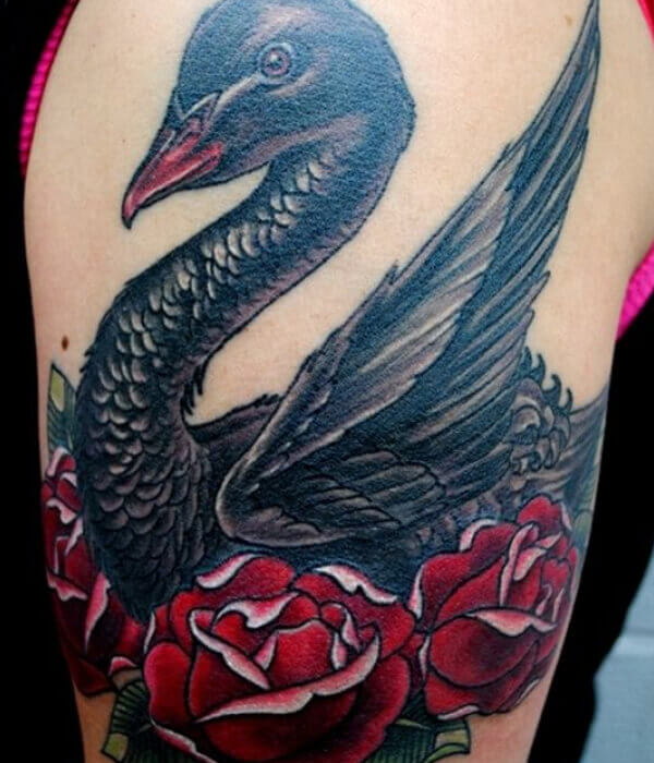 Black Swan with Red Roses Tattoo on the Arm